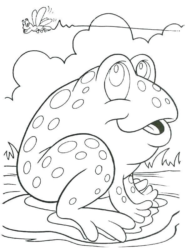 34 Adorable Tadpole and Froglet Coloring Pages Printable 17