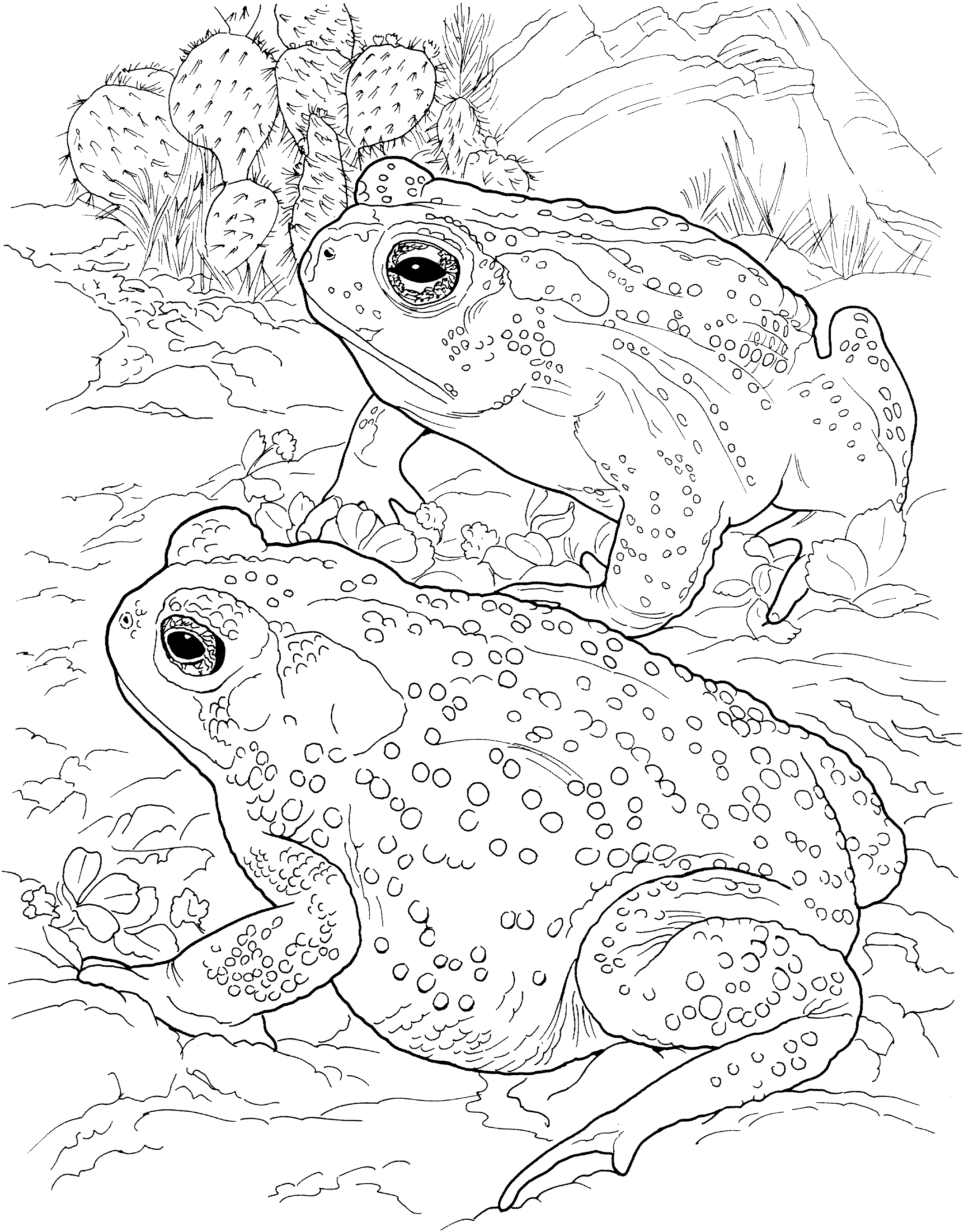 34 Adorable Tadpole and Froglet Coloring Pages Printable 20