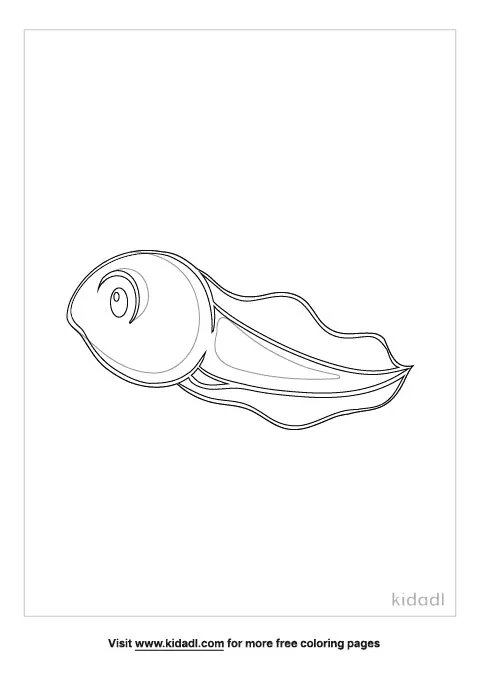 34 Adorable Tadpole and Froglet Coloring Pages Printable 24