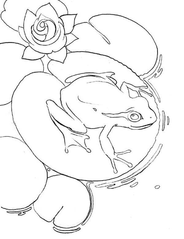 34 Adorable Tadpole and Froglet Coloring Pages Printable 34