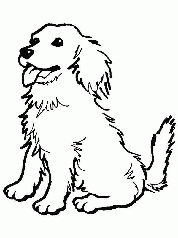 35 Adorable Farm Dog Coloring Pages Printable 23