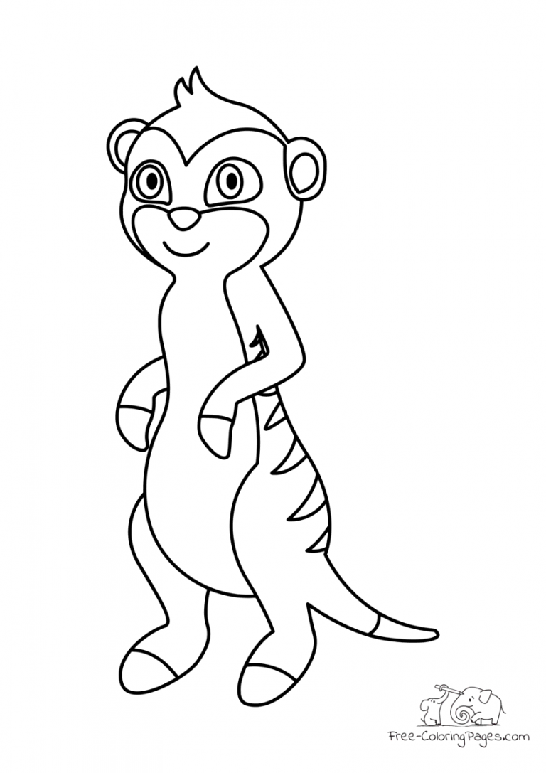 35 Adorable Meerkats Coloring Pages Printable 10