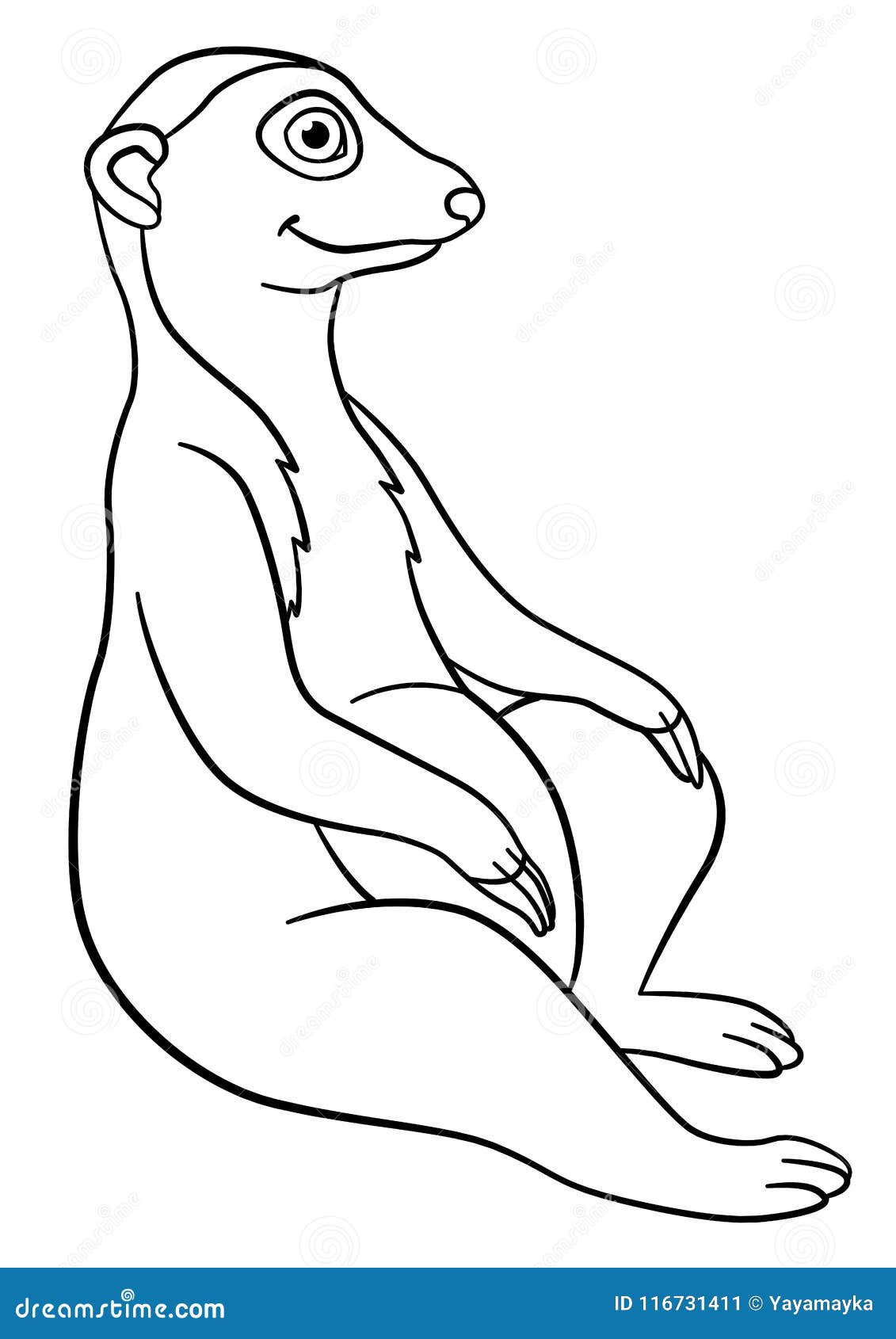 35 Adorable Meerkats Coloring Pages Printable 11