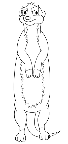 35 Adorable Meerkats Coloring Pages Printable 20