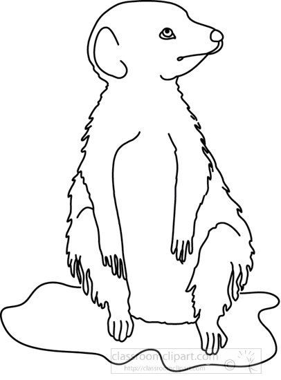 35 Adorable Meerkats Coloring Pages Printable 21