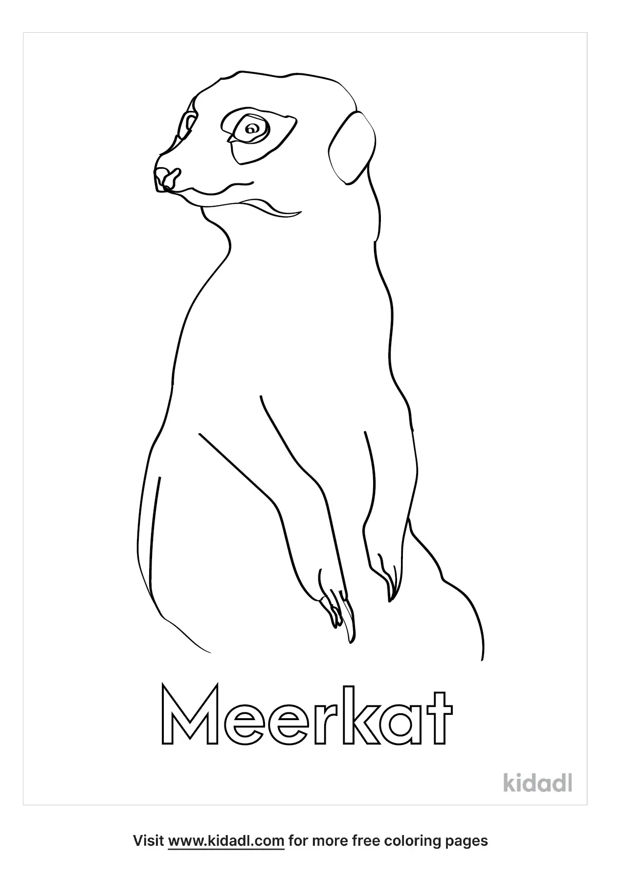 35 Adorable Meerkats Coloring Pages Printable 24