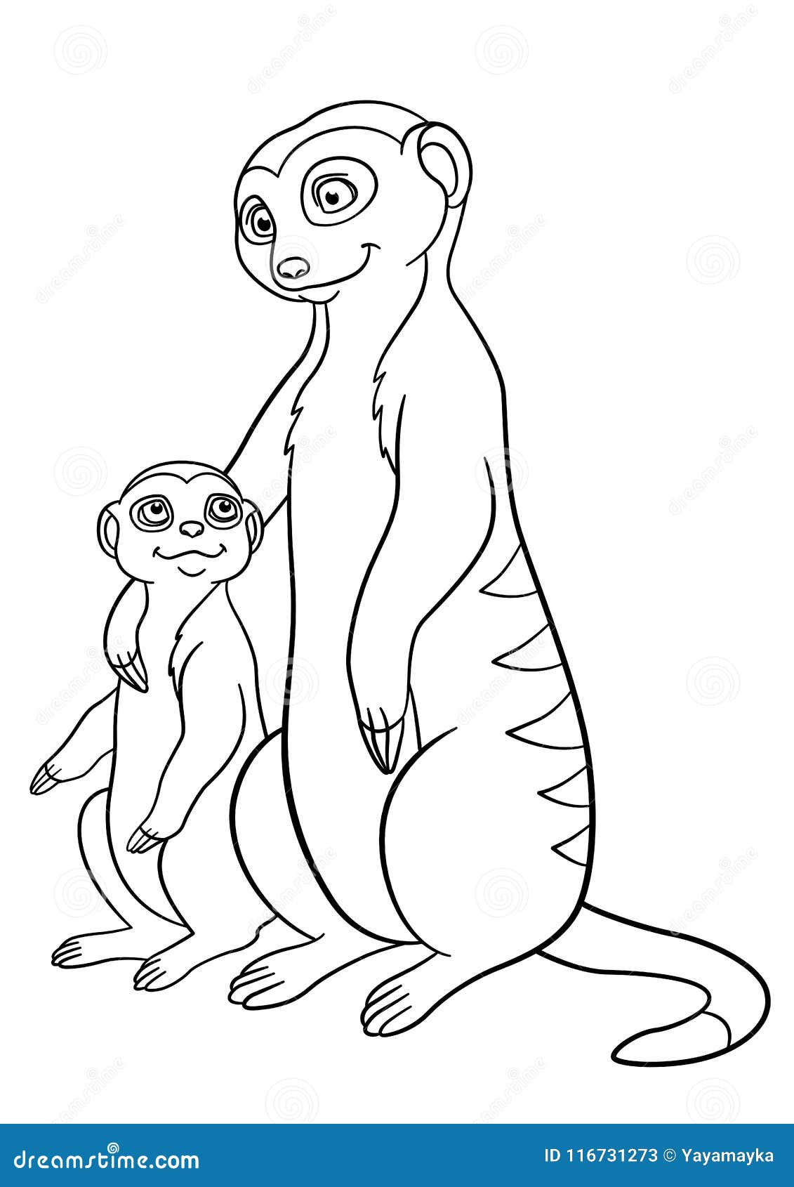 35 Adorable Meerkats Coloring Pages Printable 25