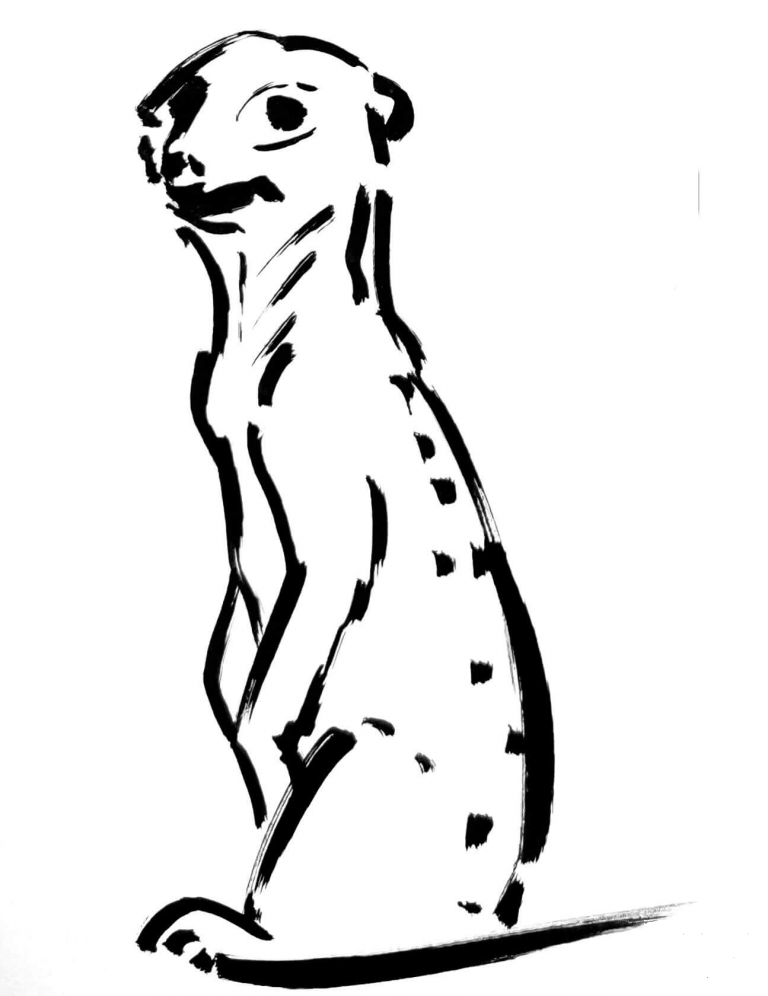 35 Adorable Meerkats Coloring Pages Printable 26