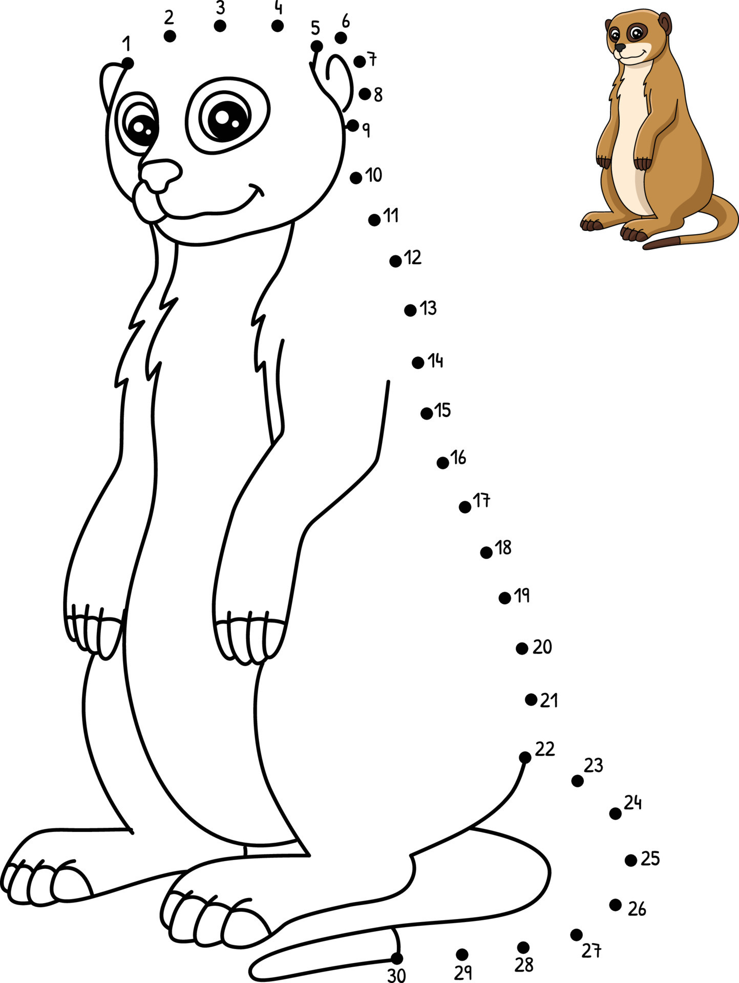 35 Adorable Meerkats Coloring Pages Printable 32