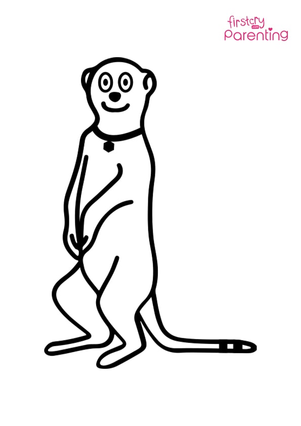 35 Adorable Meerkats Coloring Pages Printable 8