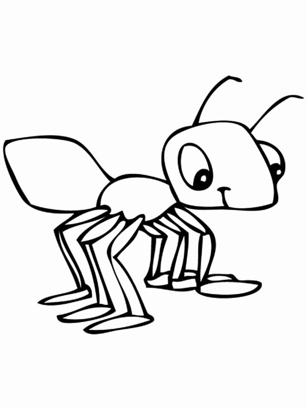 35 Cute Ant Coloring Pages Printable 11