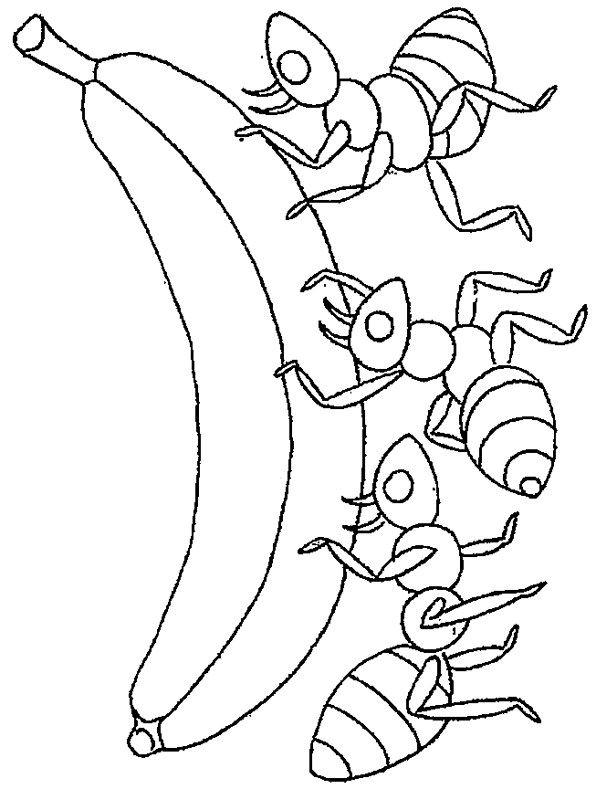 35 Cute Ant Coloring Pages Printable 12