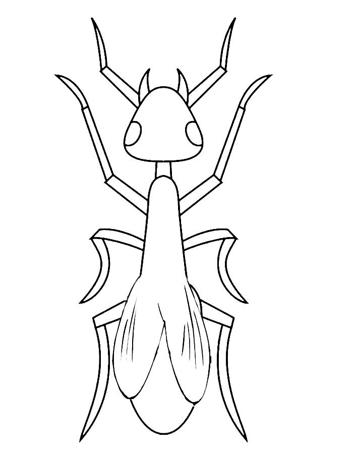 35 Cute Ant Coloring Pages Printable 20