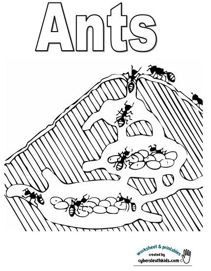 35 Cute Ant Coloring Pages Printable 27