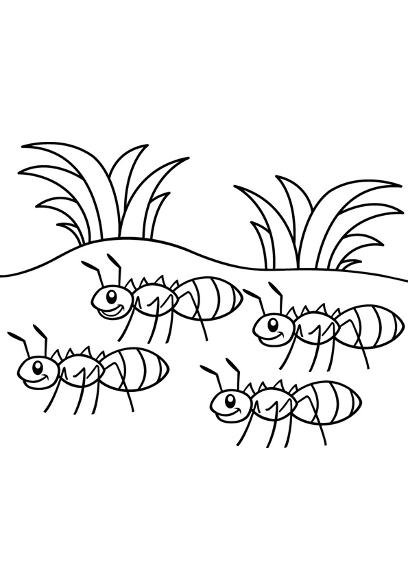 35 Cute Ant Coloring Pages Printable 31