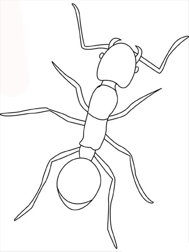 35 Cute Ant Coloring Pages Printable 35