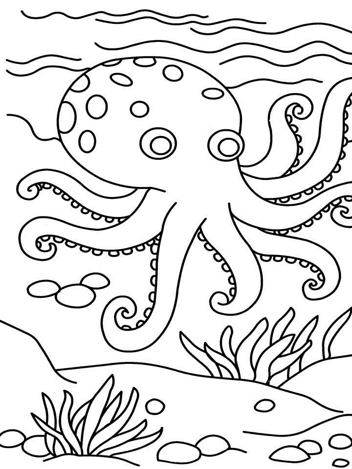 35 Octopus Coloring Pages Printable 27