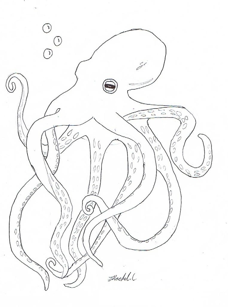 35 Octopus Coloring Pages Printable 31