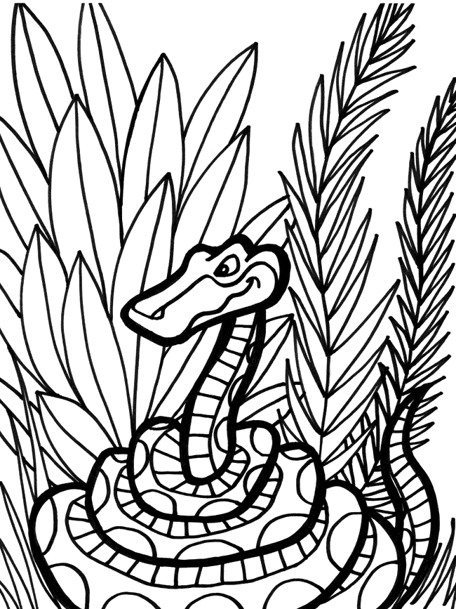 36 Detailed Snake Coloring Pages Printable 13