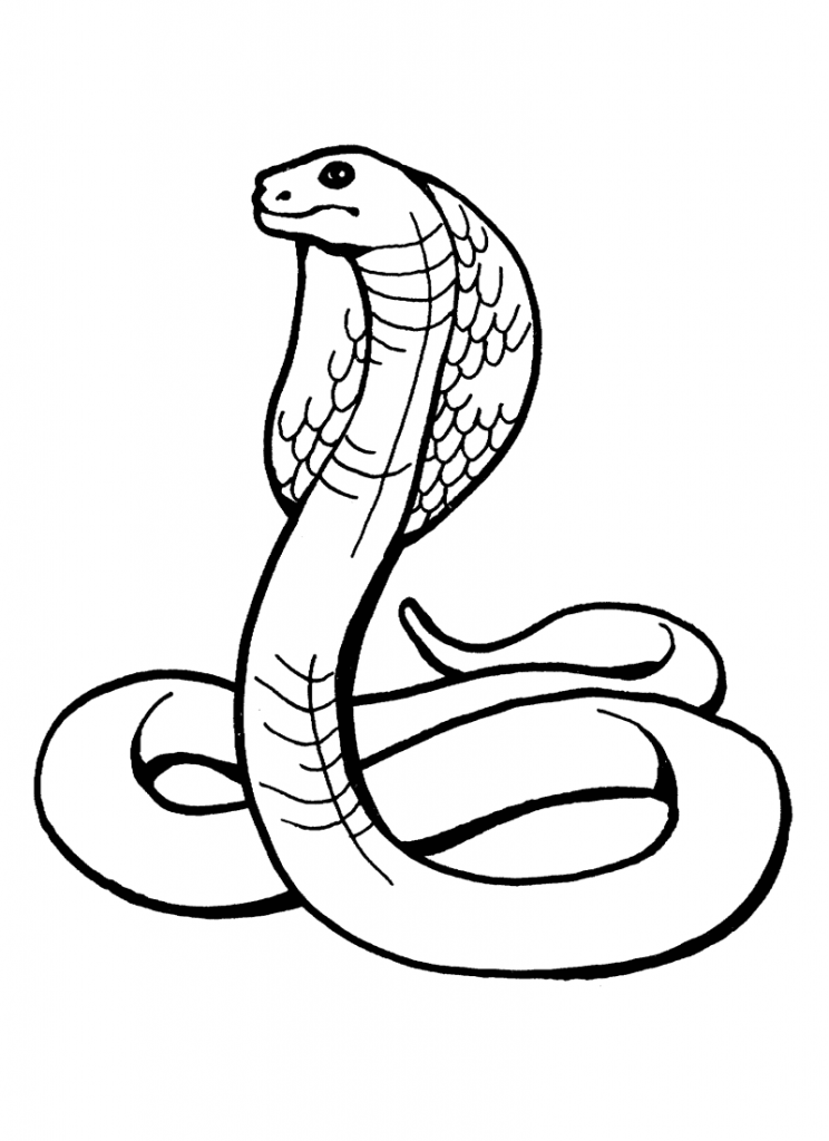 36 Detailed Snake Coloring Pages Printable 14