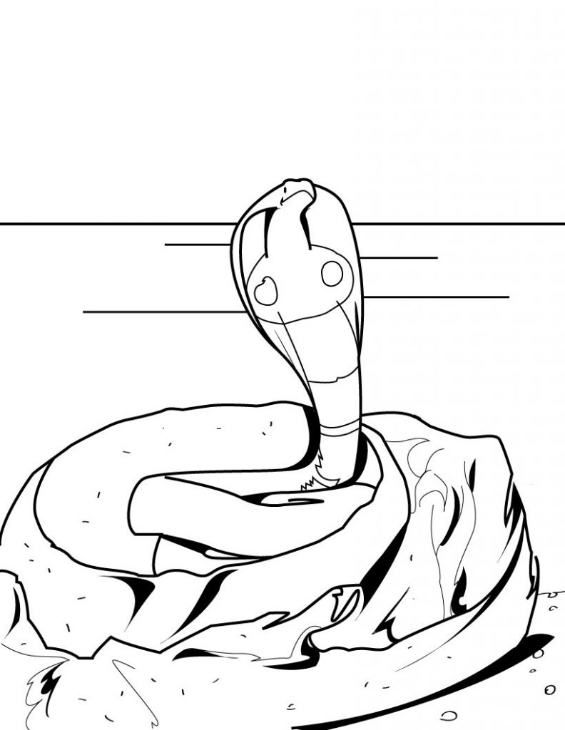 36 Detailed Snake Coloring Pages Printable 15