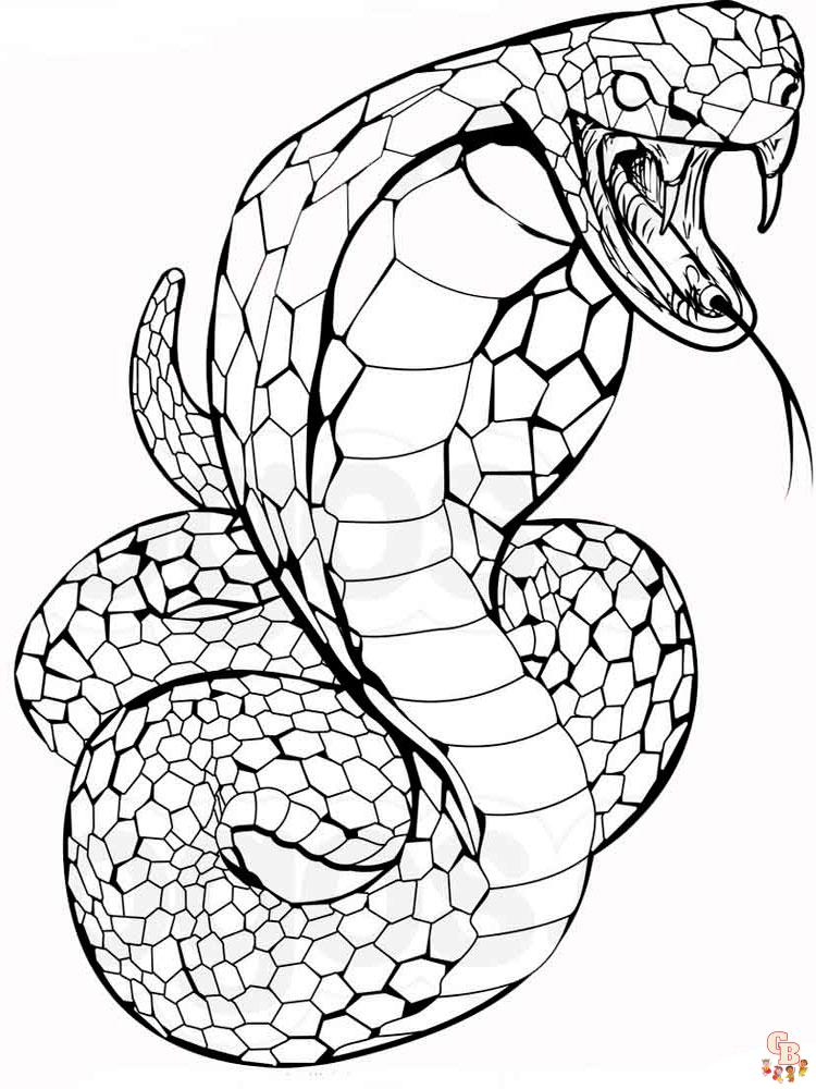 36 Detailed Snake Coloring Pages Printable 17