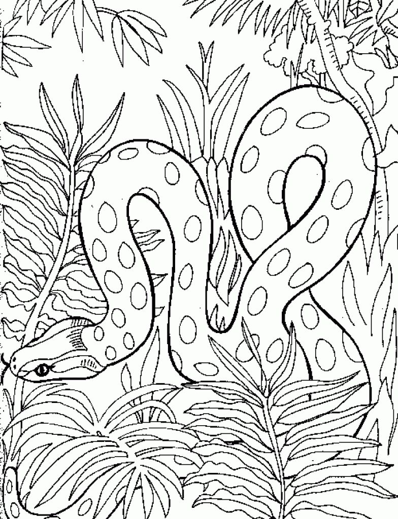 36 Detailed Snake Coloring Pages Printable 24