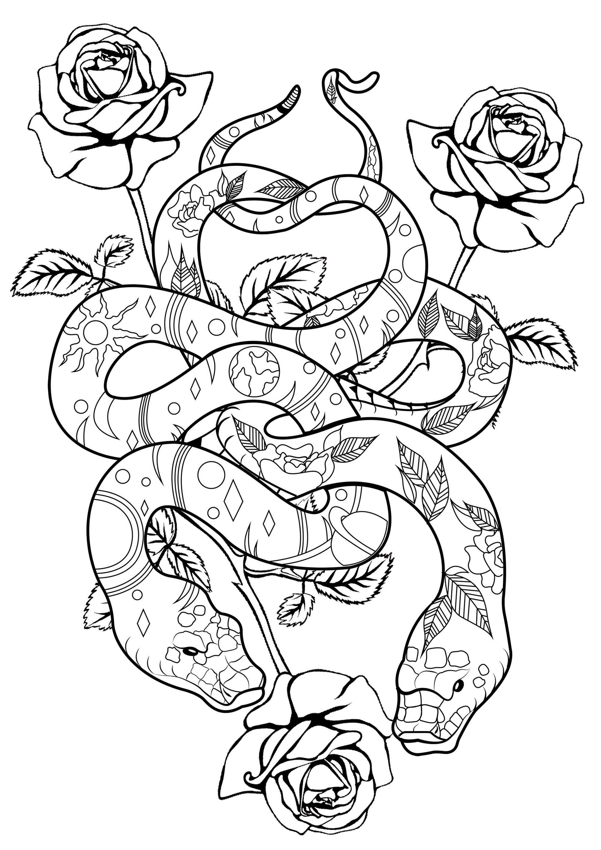 36 Detailed Snake Coloring Pages Printable 26