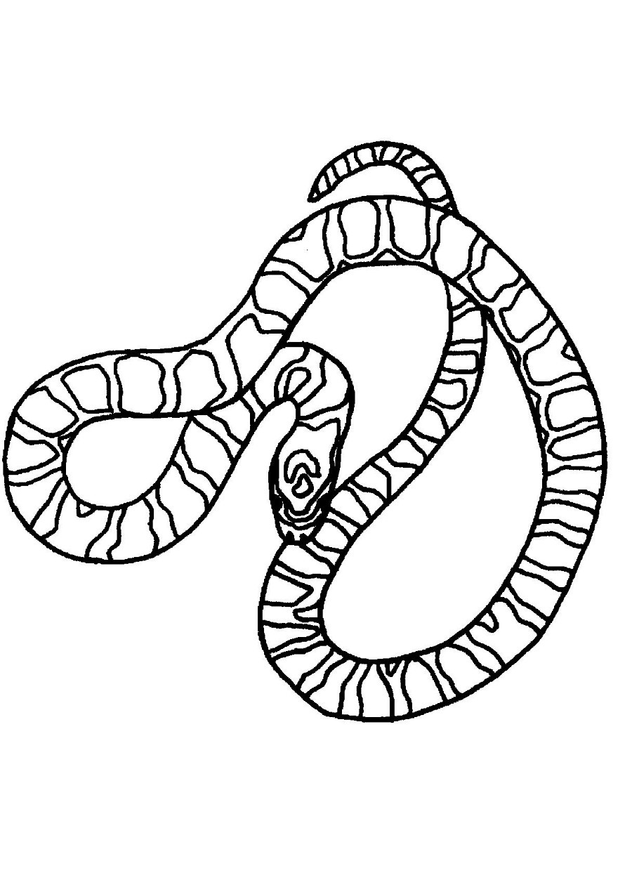 36 Detailed Snake Coloring Pages Printable 27