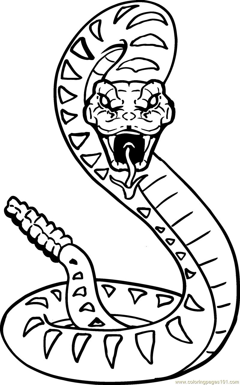 36 Detailed Snake Coloring Pages Printable 31