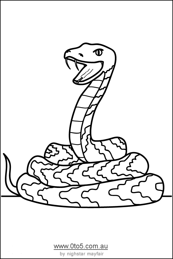 36 Detailed Snake Coloring Pages Printable 32