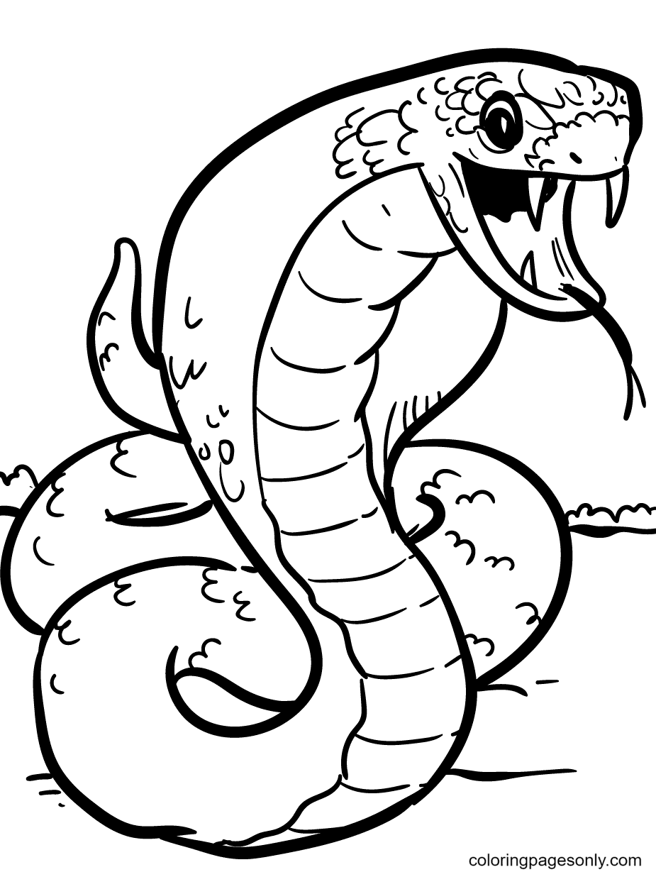 36 Detailed Snake Coloring Pages Printable 34