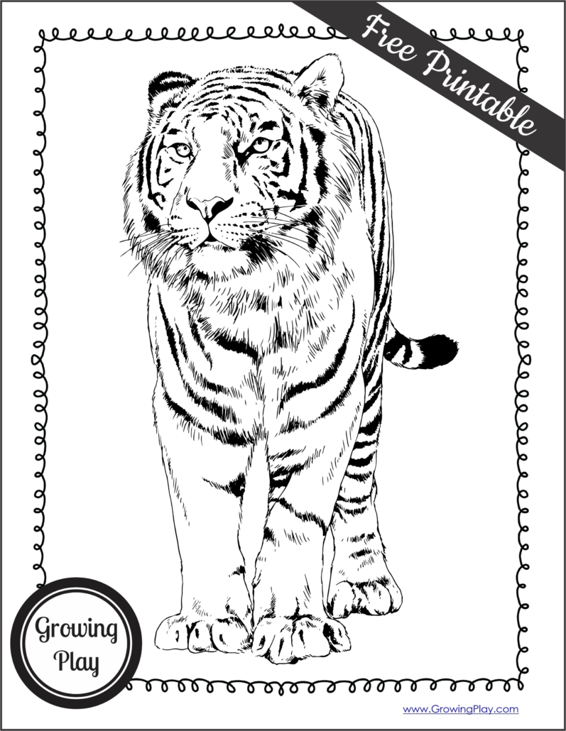 36 Majestic Tiger Coloring Pages Printable 27