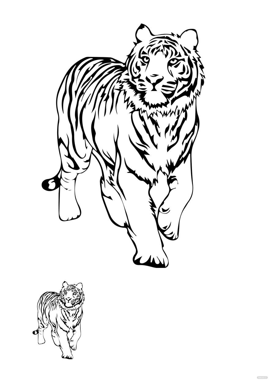 36 Majestic Tiger Coloring Pages Printable 32