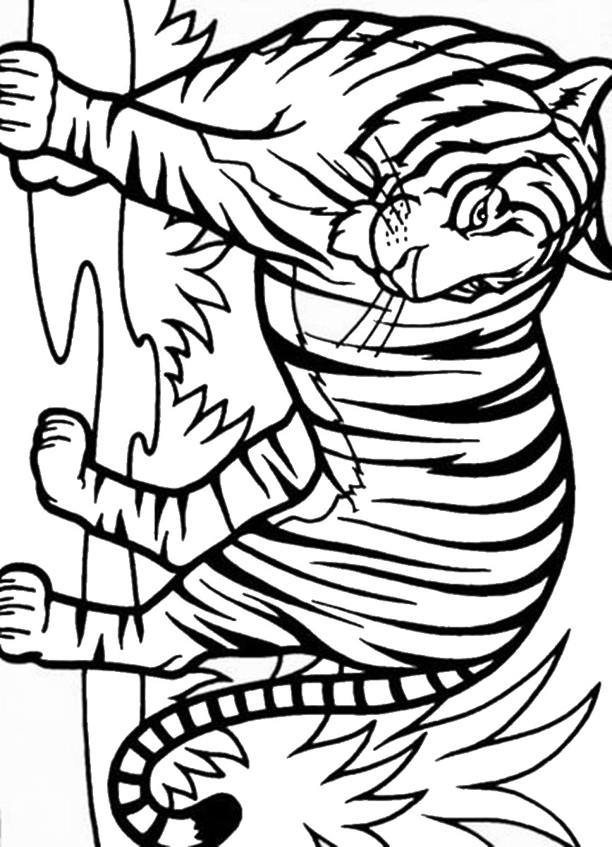 36 Majestic Tiger Coloring Pages Printable 34