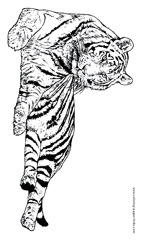 36 Majestic Tiger Coloring Pages Printable 35