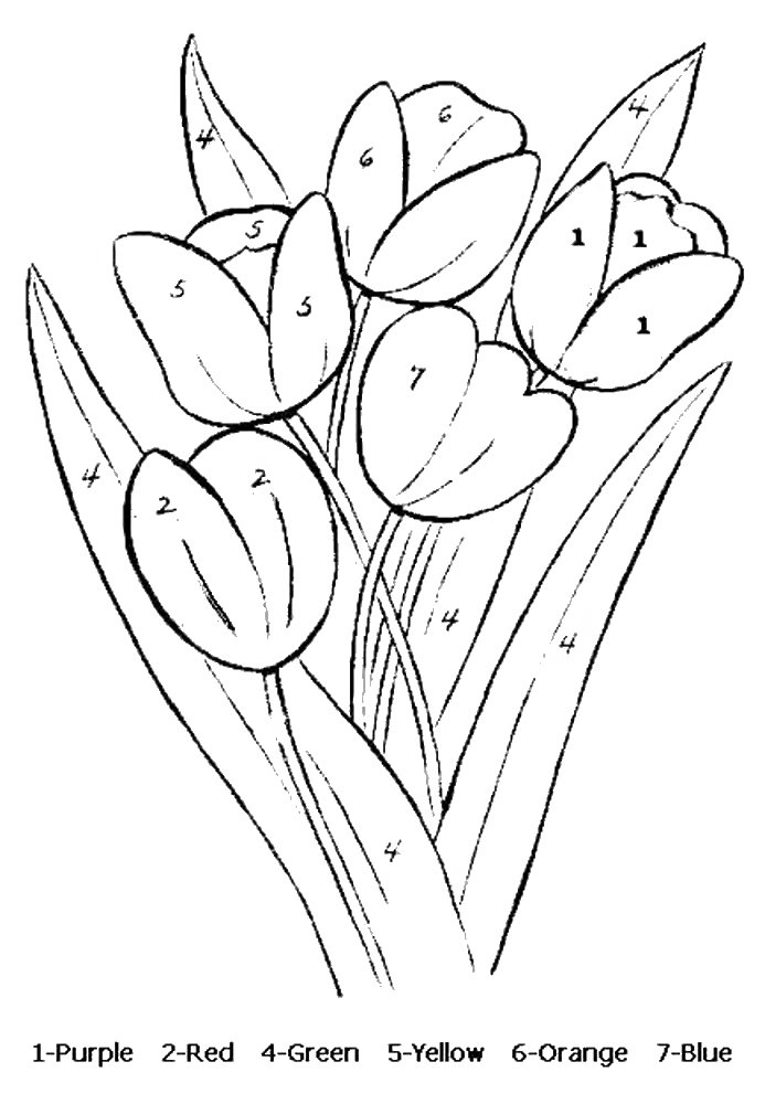 37 Adorable Tulip Coloring Pages for Kids Printable 14