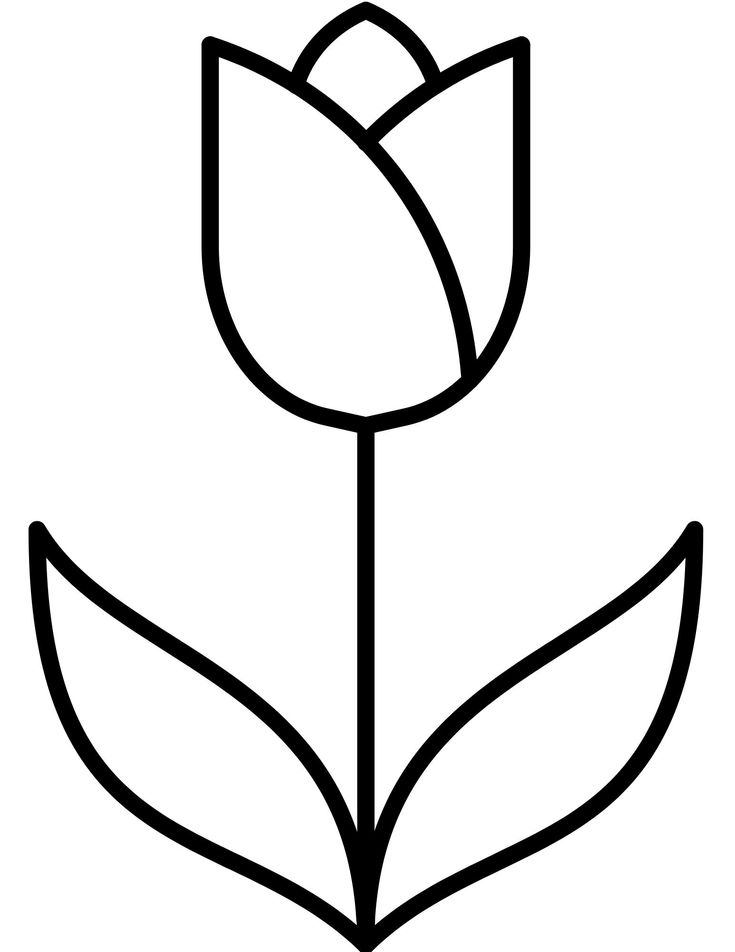 37 Adorable Tulip Coloring Pages for Kids Printable 17