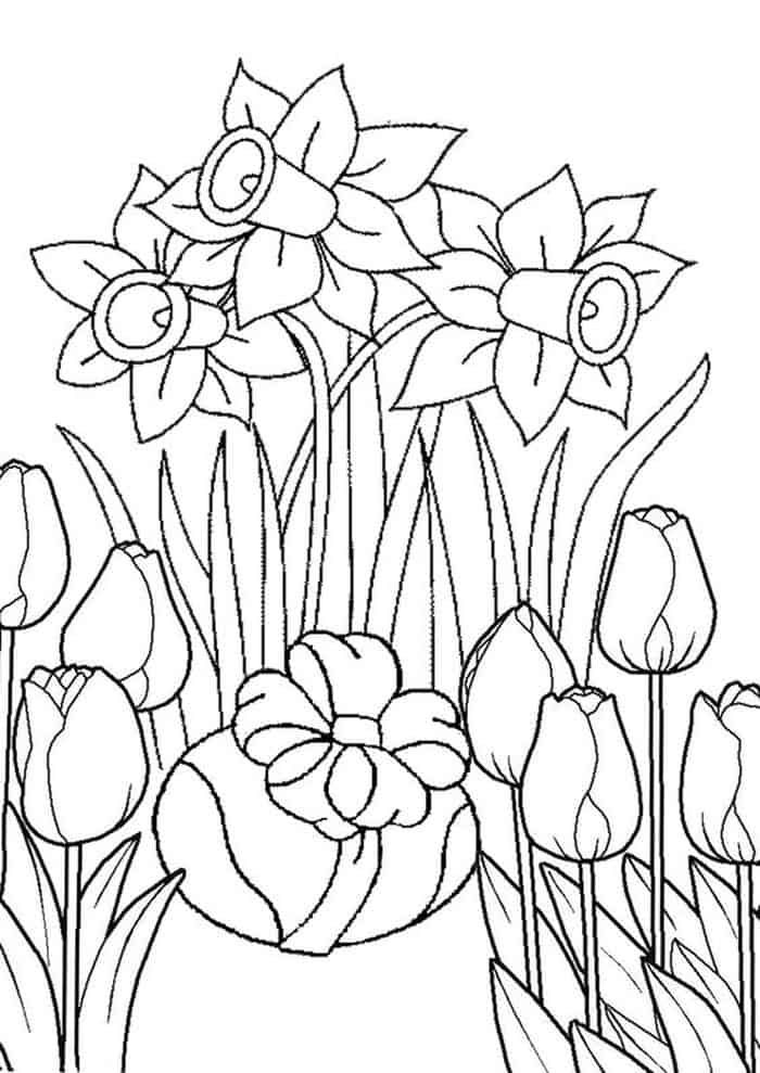 37 Adorable Tulip Coloring Pages for Kids Printable 19