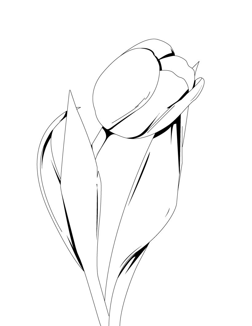 37 Adorable Tulip Coloring Pages for Kids Printable 20