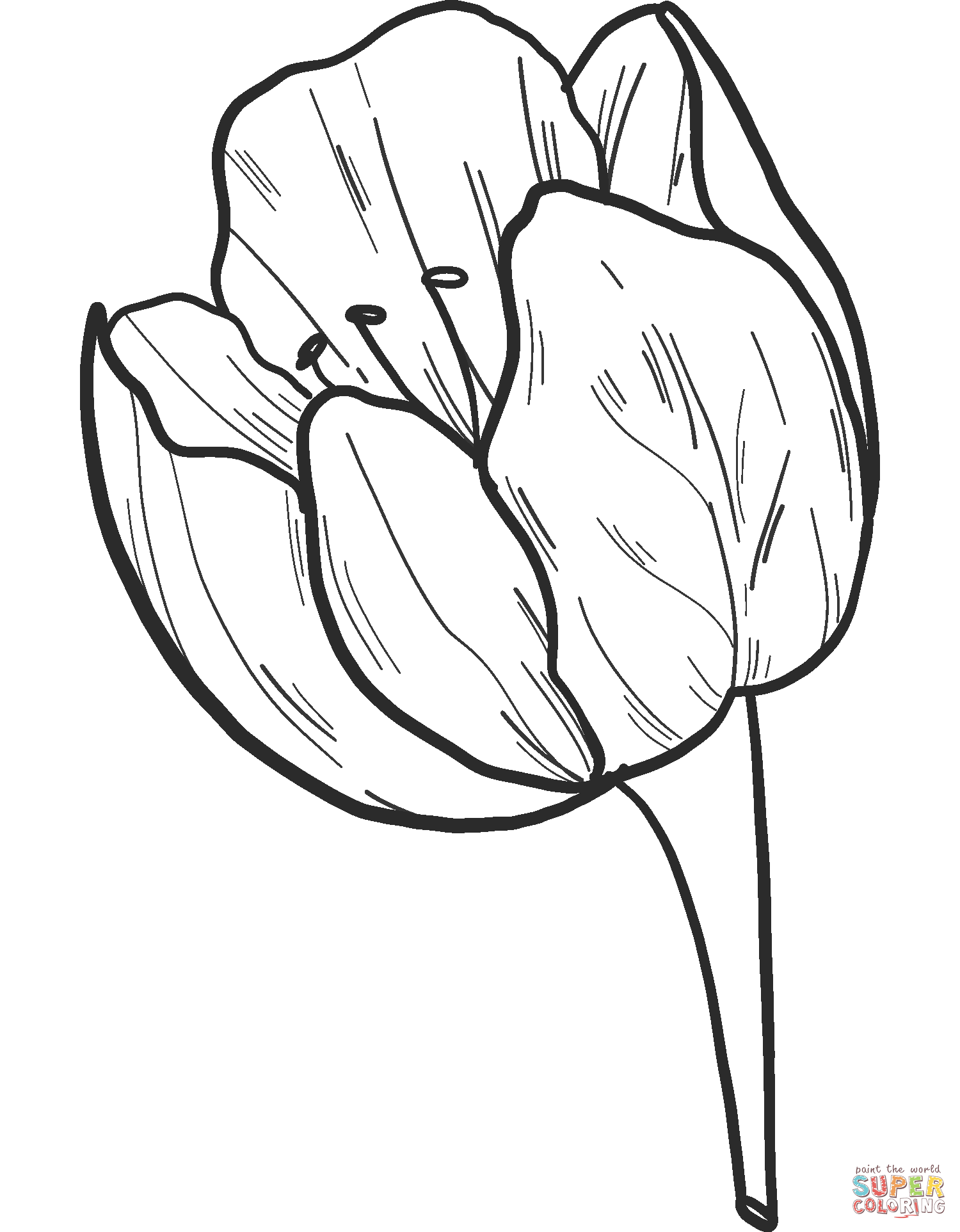 37 Adorable Tulip Coloring Pages for Kids Printable 26