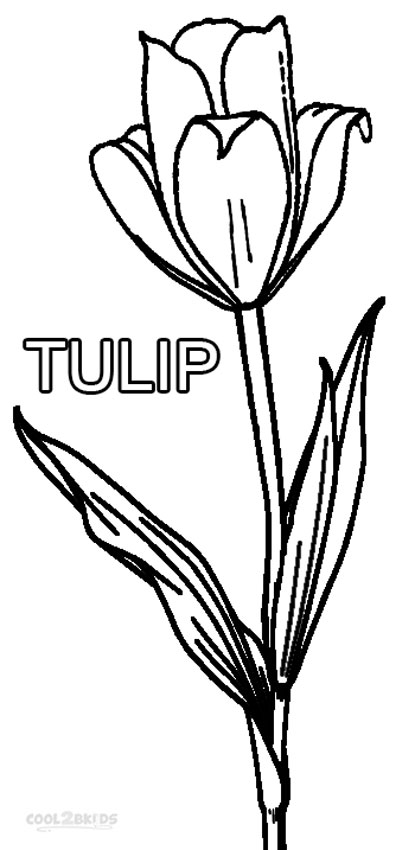 37 Adorable Tulip Coloring Pages for Kids Printable 28