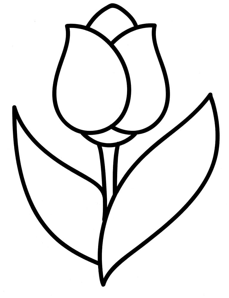 37 Adorable Tulip Coloring Pages for Kids Printable 29