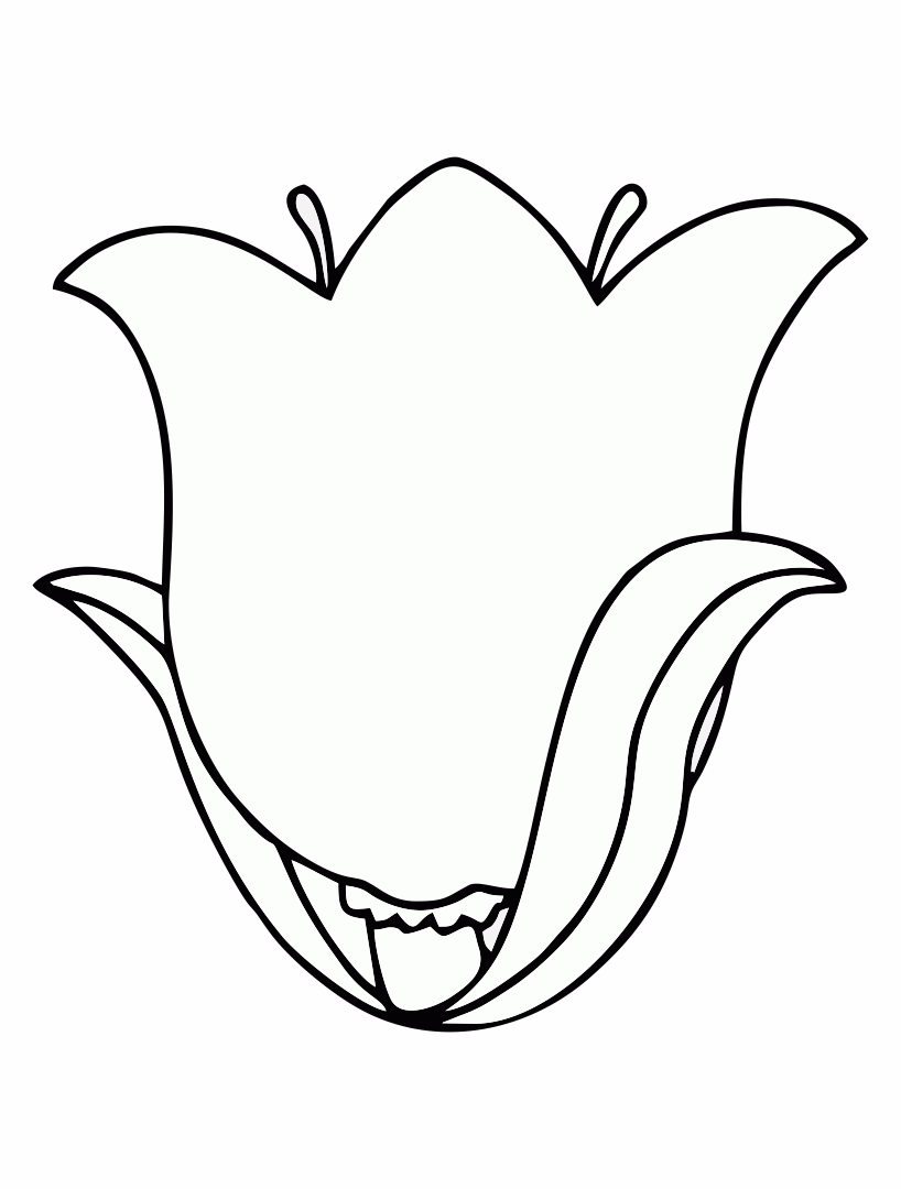 37 Adorable Tulip Coloring Pages for Kids Printable 35