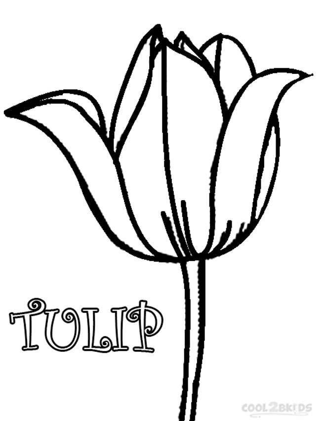 37 Adorable Tulip Coloring Pages for Kids Printable 4