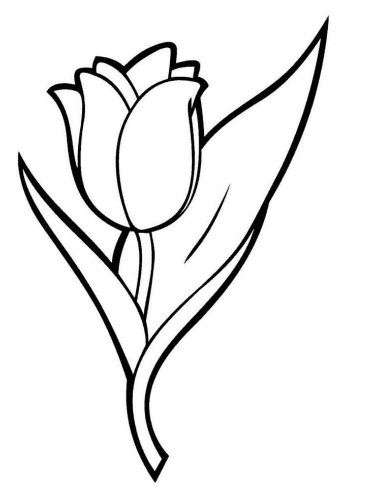 37 Adorable Tulip Coloring Pages for Kids Printable 5