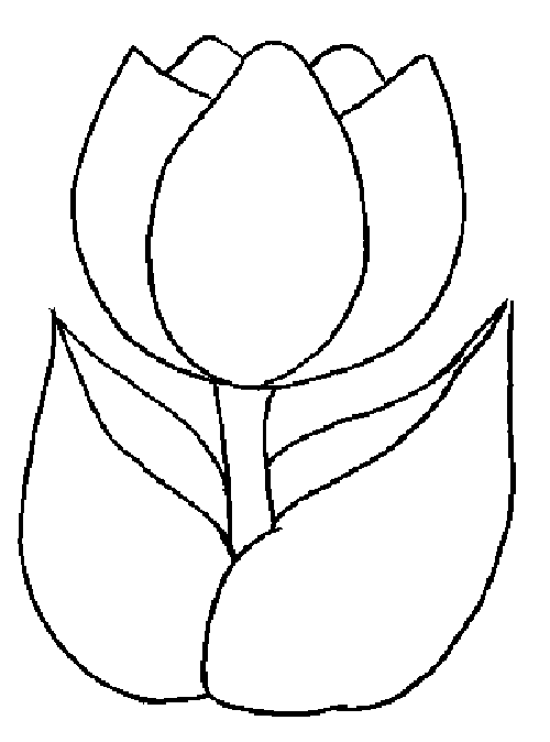 37 Adorable Tulip Coloring Pages for Kids Printable 6