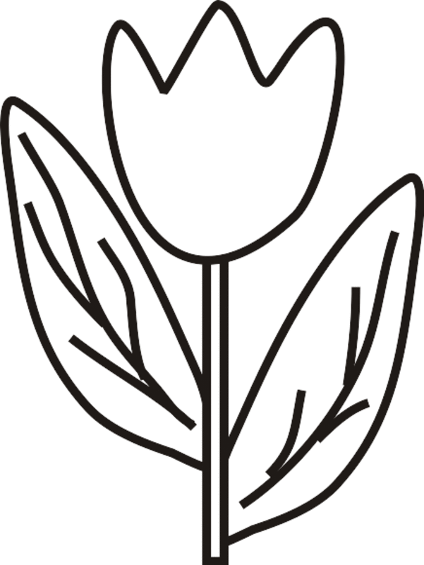 37 Adorable Tulip Coloring Pages for Kids Printable 9