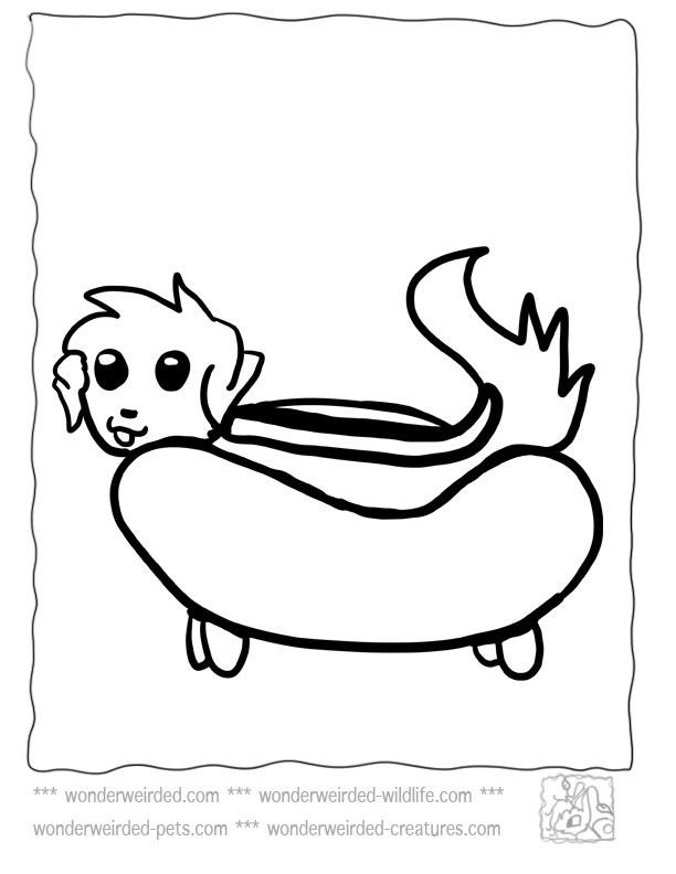 37 Irresistible Hot Dog Coloring Pages Printable 27