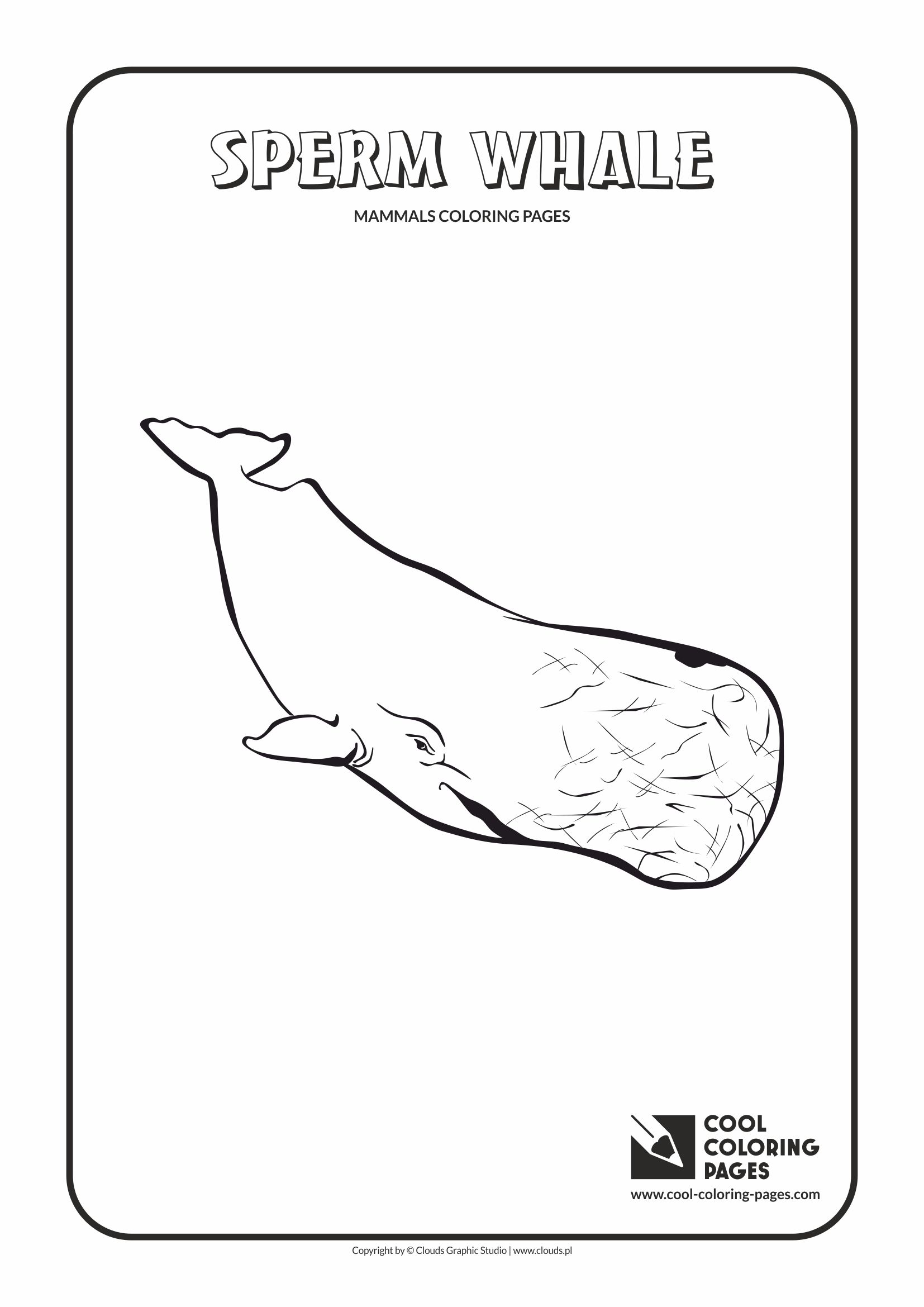 38 Whale Coloring Pages for Kids Printable 13